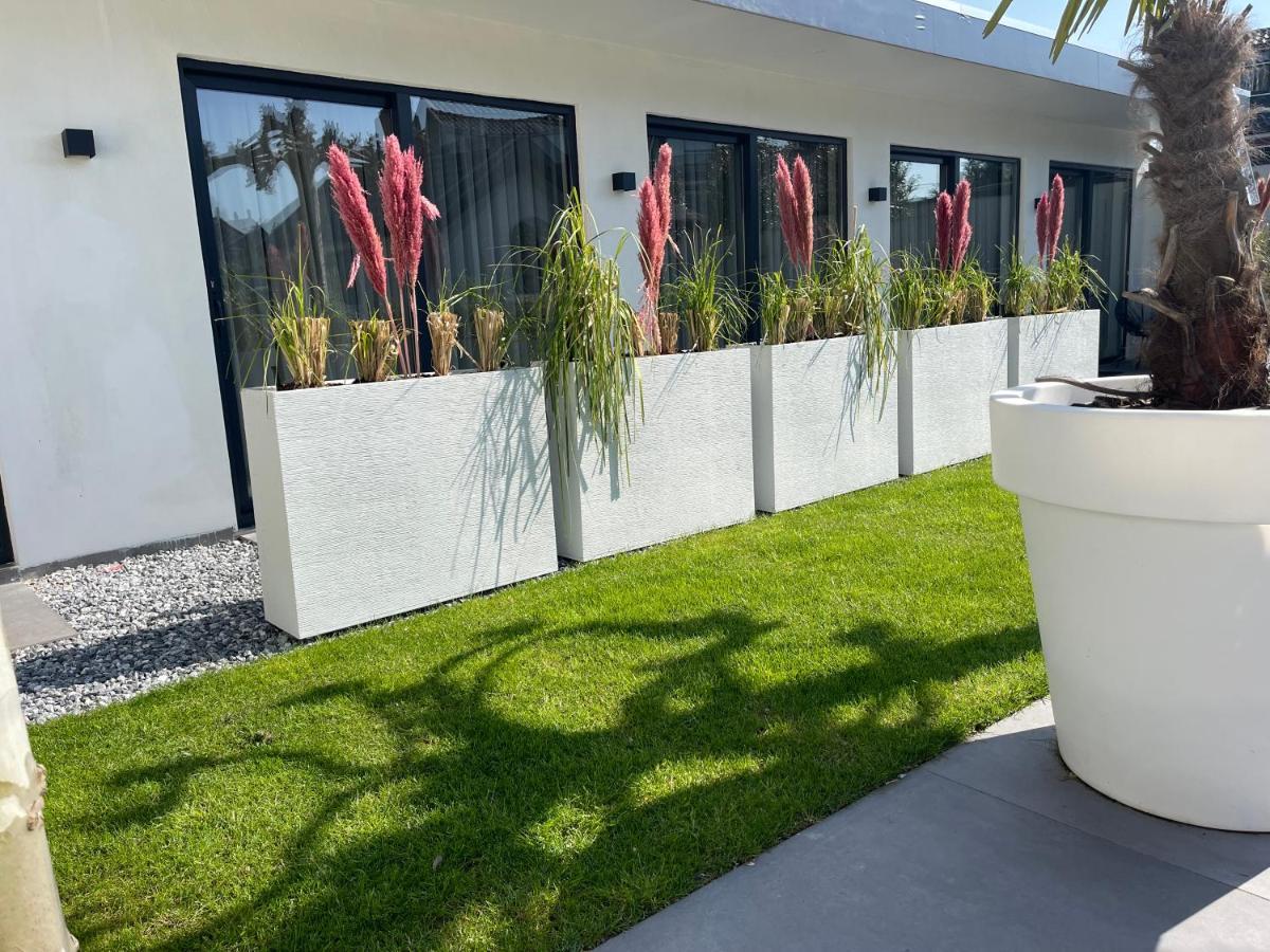 B&B Bubbles&Bites Oostvoorne Exterior foto
